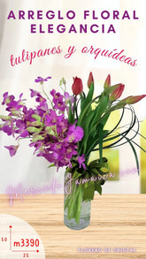 Tulipanes Rojos y Orquídeas Lila !